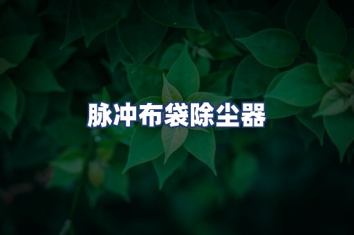 脉冲布袋除尘器